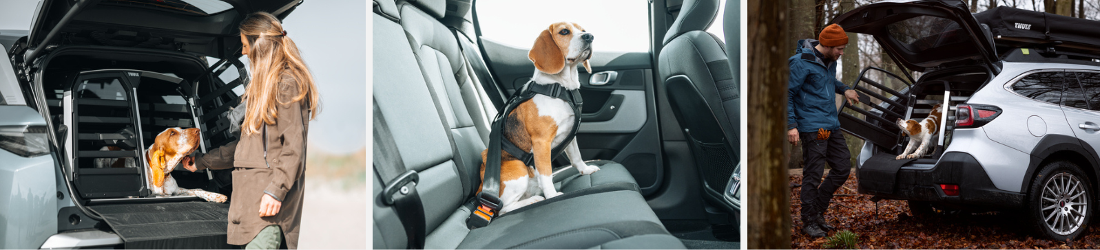 Transport pour chien Thule Allax et harnais Cappy